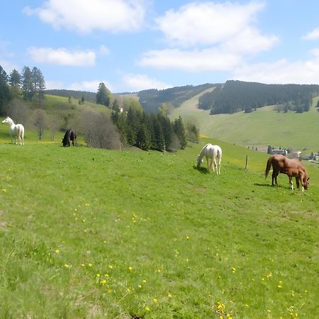 Ferienwohnung Bergahorn Todtnauberg Buitenkant foto