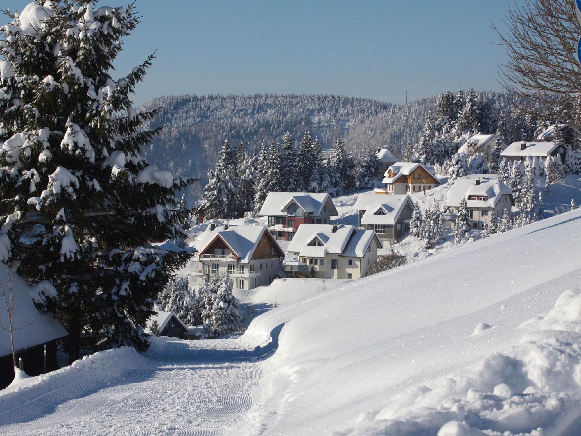 Ferienwohnung Bergahorn Todtnauberg Buitenkant foto